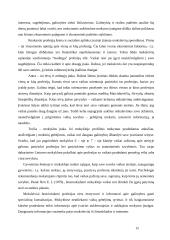 Dešimtų klasių gimnazistų ir moksleivių profesinį orientavimą ir apsisprendimą įtakojančių veiksnių analizė 15 puslapis