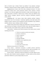 Dešimtų klasių gimnazistų ir moksleivių profesinį orientavimą ir apsisprendimą įtakojančių veiksnių analizė 20 puslapis