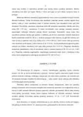 Lygybė įstatymui, teismui ir kitoms institucijoms ar pareigūnams 5 puslapis