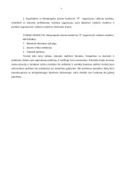 Įmonės organizacinės valdymo struktūros tobulinimas 2 puslapis