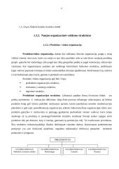 Įmonės organizacinės valdymo struktūros tobulinimas 15 puslapis