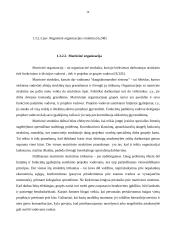 Įmonės organizacinės valdymo struktūros tobulinimas 17 puslapis