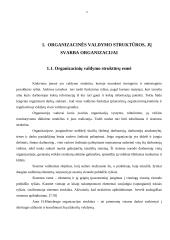 Įmonės organizacinės valdymo struktūros tobulinimas 3 puslapis