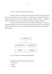 Įmonės organizacinės valdymo struktūros tobulinimas 10 puslapis