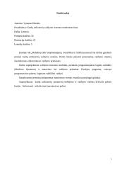 Katilų utilizatorių valdymo sistemos modernizavimas 4 puslapis