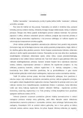 Katilų utilizatorių valdymo sistemos modernizavimas 8 puslapis