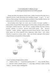 Katilų utilizatorių valdymo sistemos modernizavimas 10 puslapis