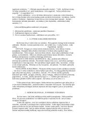 Lytinis auklėjimas šeimoje 3 puslapis