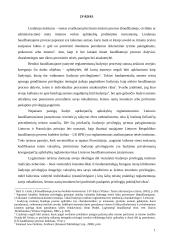 Liudytojas