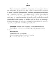 Lorenco kreivė 2 puslapis