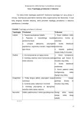 Kompiuterinio tinklo kūrimas ir pritaikymas vartotojui 15 puslapis