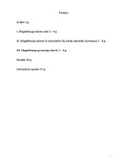 Magdeburgo miestai Lietuvoje