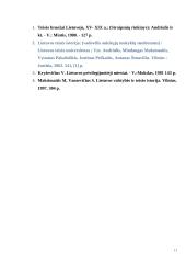 Magdeburgo miestai Lietuvoje 11 puslapis