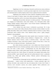 Magdeburgo miestai Lietuvoje 3 puslapis