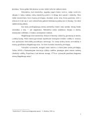 Magdeburgo miestai Lietuvoje 4 puslapis