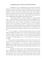 Magdeburgo miestai Lietuvoje 5 puslapis