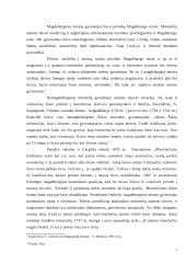 Magdeburgo miestai Lietuvoje 7 puslapis