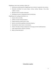 Magdeburgo miestai Lietuvoje 10 puslapis