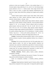 Kopūstų tręšimo optimizavimas 13 puslapis