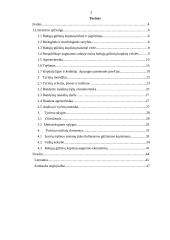 Kopūstų tręšimo optimizavimas 3 puslapis