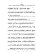 Kopūstų tręšimo optimizavimas 4 puslapis