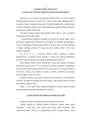 Kopūstų tręšimo optimizavimas 6 puslapis