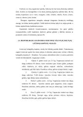 Kopūstų tręšimo optimizavimas 9 puslapis