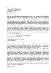 Maironio gyvenimo faktai 20 puslapis