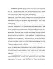 Laimės samprata lietuvių filosofijoje 2 puslapis