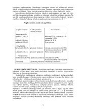 Maisto medžiagos 3 puslapis