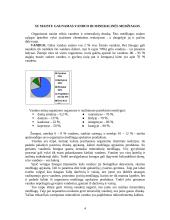 Maisto medžiagos 4 puslapis