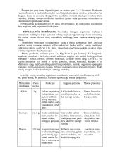 Maisto medžiagos 5 puslapis