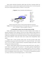 Lietuvos valstybinė etninių mažumų politika 7 puslapis
