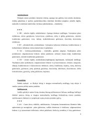 Maisto priedų naudojimas 4 puslapis