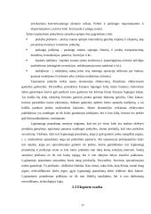 Logistikos valdymo analizė: krovinių gabenimas UAB "Benmore" 17 puslapis