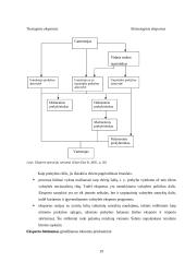 Logistikos valdymo analizė: krovinių gabenimas UAB "Benmore" 19 puslapis