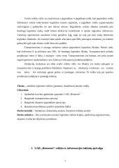 Logistikos valdymo analizė: krovinių gabenimas UAB "Benmore" 7 puslapis