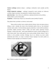 Maisto priedai. Maisto priedų rūšys. Poveikis žmogaus sveikatai 6 puslapis