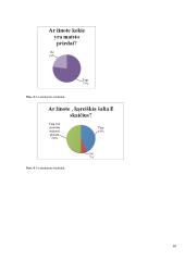 Maisto priedai. Maisto priedų rūšys. Poveikis žmogaus sveikatai 10 puslapis