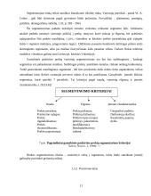 Marketingo strategijos formavimo teoriniai aspektai 11 puslapis