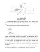 Marketingo strategijos formavimo teoriniai aspektai 17 puslapis