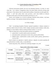 Marketingo strategijos formavimo teoriniai aspektai 19 puslapis