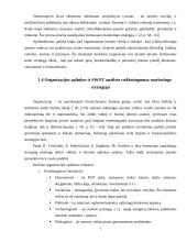 Marketingo strategijos formavimo teoriniai aspektai 7 puslapis