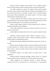 Majonezas. Cheminė sudėtis, gamyba, vartojimas 6 puslapis