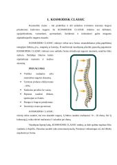 Marketingo komplekso analizė: rinkinys "Kosmodisk classic" 3 puslapis