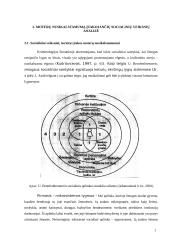 Moterų nusikaltimų socialiniai veiksniai 13 puslapis