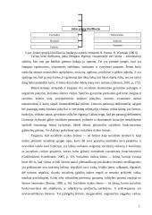 Moterų nusikaltimų socialiniai veiksniai 15 puslapis