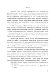 Moterų nusikaltimų socialiniai veiksniai 3 puslapis