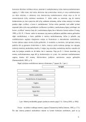 Moterų nusikaltimų socialiniai veiksniai 9 puslapis