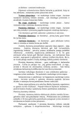 Marketingo tyrimas 2 puslapis